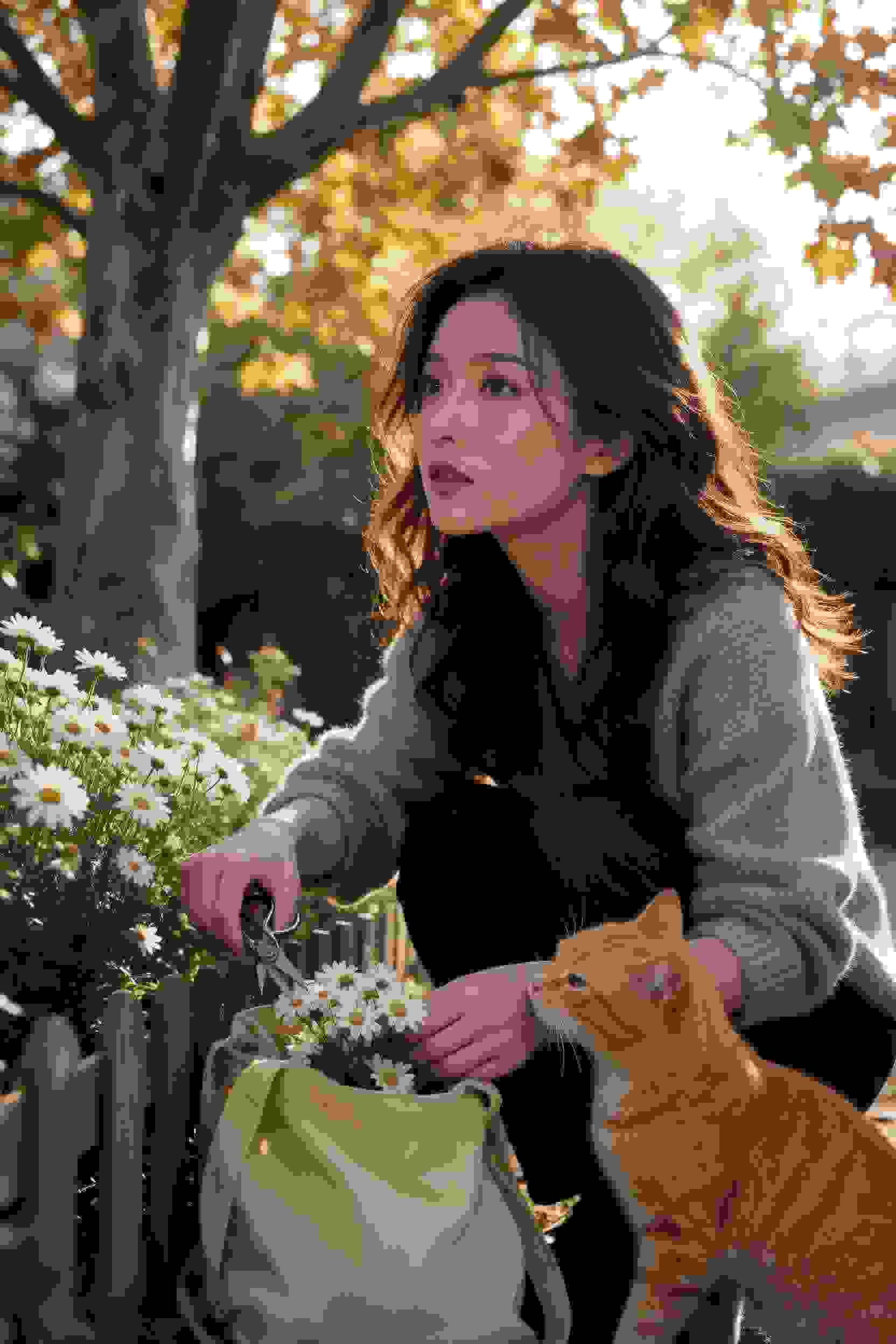 美食猎人传奇